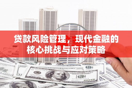 中正贷款风险管理，现代金融的核心挑战与应对策略