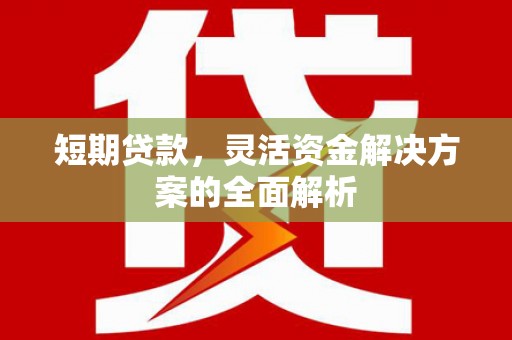 津南短期贷款，灵活资金解决方案的全面解析