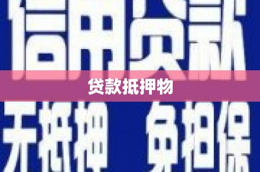 洋山贷款抵押物