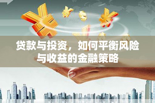 安国贷款与投资，如何平衡风险与收益的金融策略