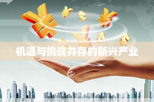 当阳机遇与挑战并存的新兴产业