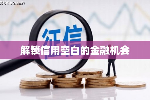 大邑解锁信用空白的金融机会