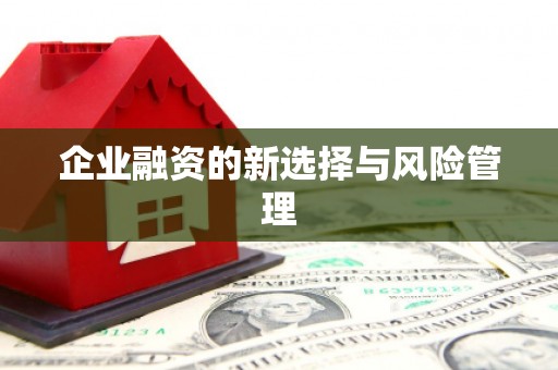 卓尼企业融资的新选择与风险管理