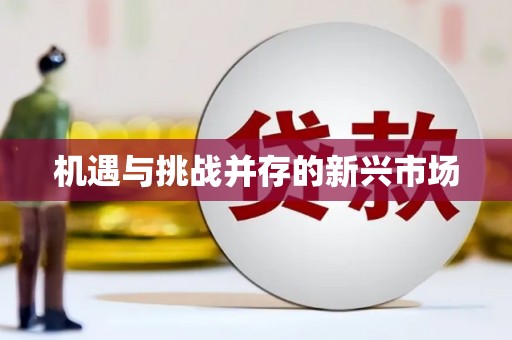 前镇机遇与挑战并存的新兴市场