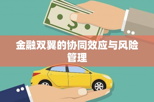 扶绥金融双翼的协同效应与风险管理