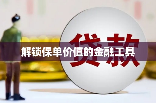 洪雅解锁保单价值的金融工具