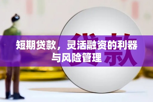 察雅短期贷款，灵活融资的利器与风险管理
