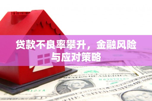 观音贷款不良率攀升，金融风险与应对策略
