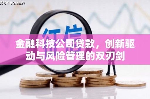 定兴金融科技公司贷款，创新驱动与风险管理的双刃剑