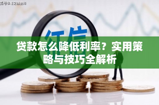 西海岸贷款怎么降低利率？实用策略与技巧全解析